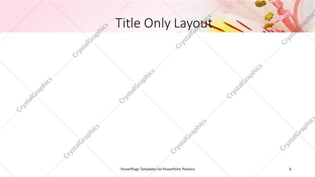 Title Only presentation slide layout