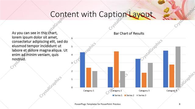 Content with Caption presentation slide layout