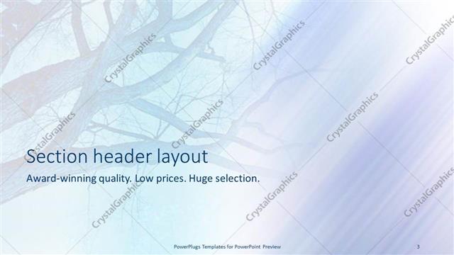 Section Header presentation slide layout