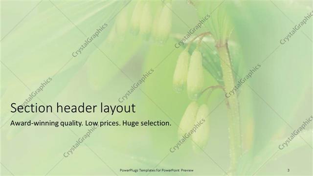 Section Header presentation slide layout