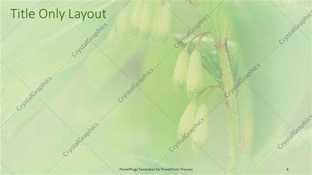 Title Only presentation slide layout