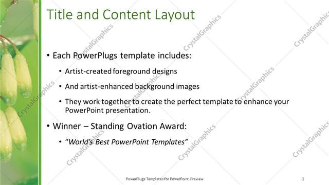 Title and Content presentation slide layout