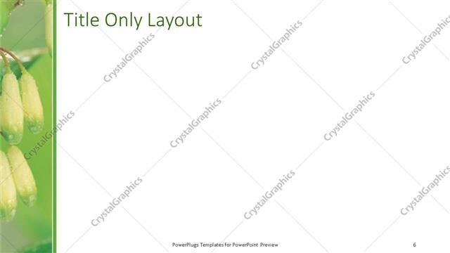 Title Only presentation slide layout