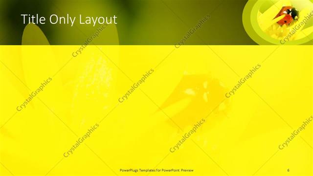 Title Only presentation slide layout