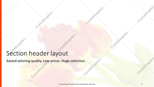 Section Header presentation slide layout
