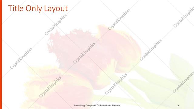 Title Only presentation slide layout