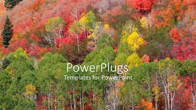  Presentation with trees - Different multi colored trees growing on a hilly landscape