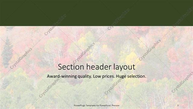 Section Header presentation slide layout