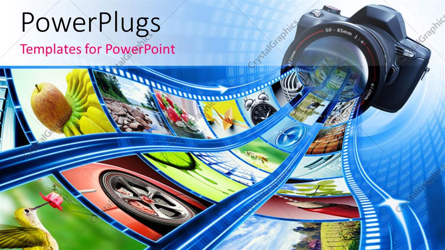 Premium Template for PowerPoint & Google Slides 