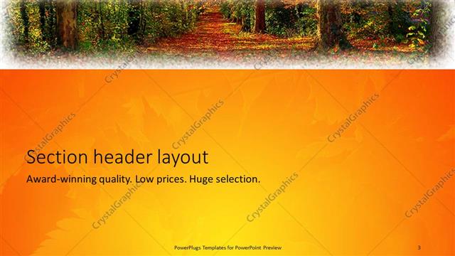 Section Header presentation slide layout