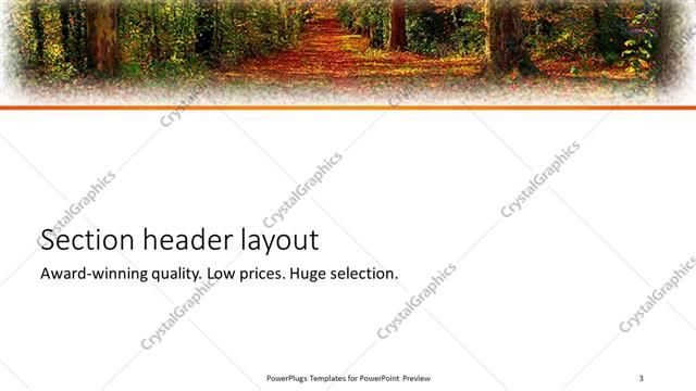 Section Header presentation slide layout