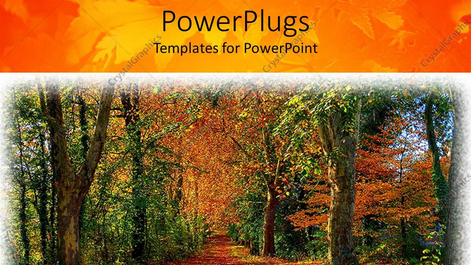 Premium Template for PowerPoint & Google Slides 