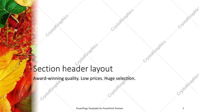 Section Header presentation slide layout