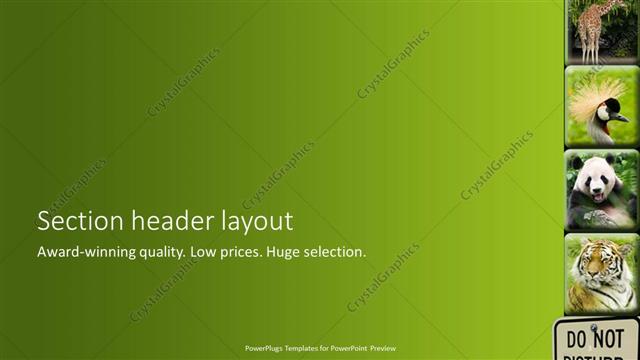 Section Header presentation slide layout