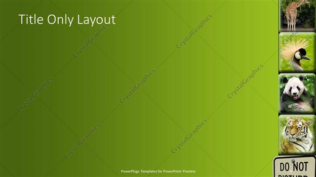 Title Only presentation slide layout