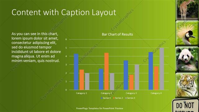 Content with Caption presentation slide layout