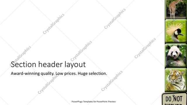 Section Header presentation slide layout