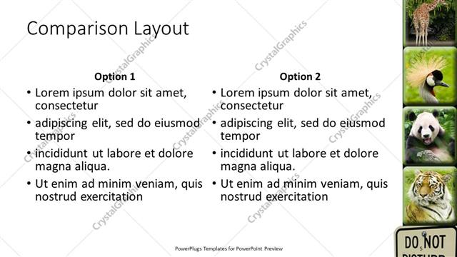 Comparison presentation slide layout
