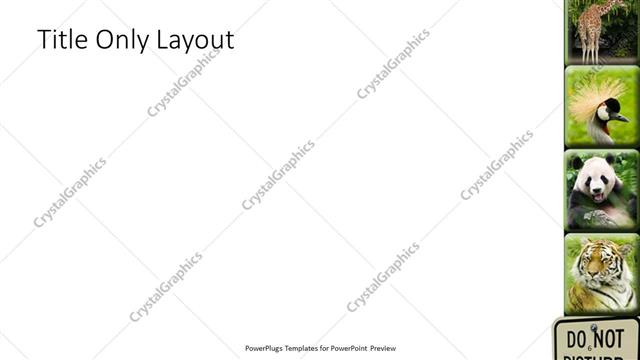 Title Only presentation slide layout