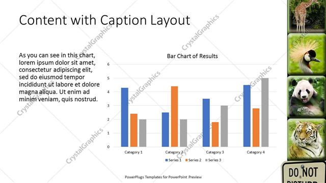 Content with Caption presentation slide layout