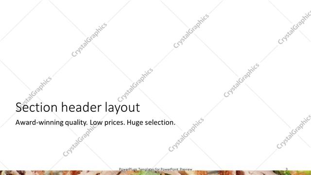 Section Header presentation slide layout