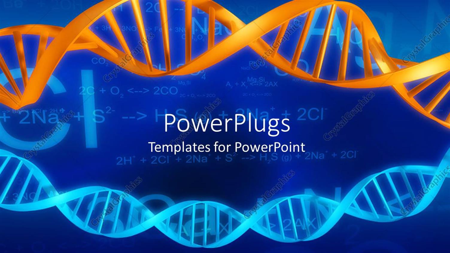 Premium Template for PowerPoint & Google Slides 