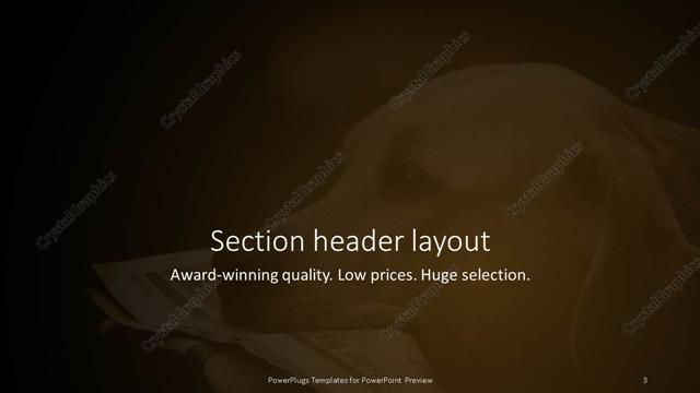 Section Header presentation slide layout