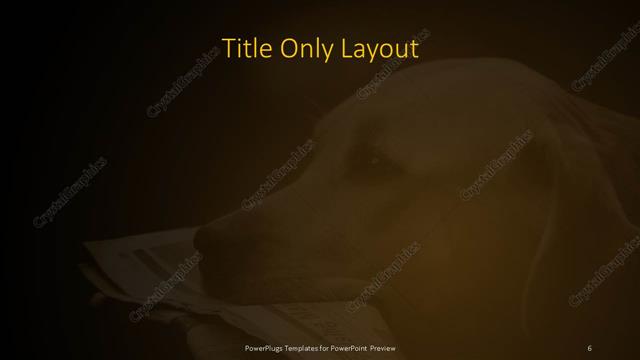 Title Only presentation slide layout
