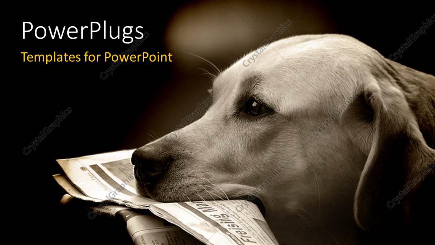 Premium Template for PowerPoint & Google Slides 