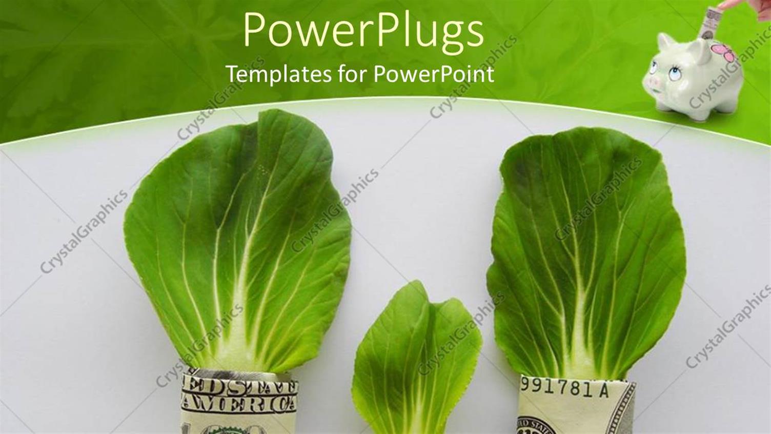 Premium Template for PowerPoint & Google Slides 