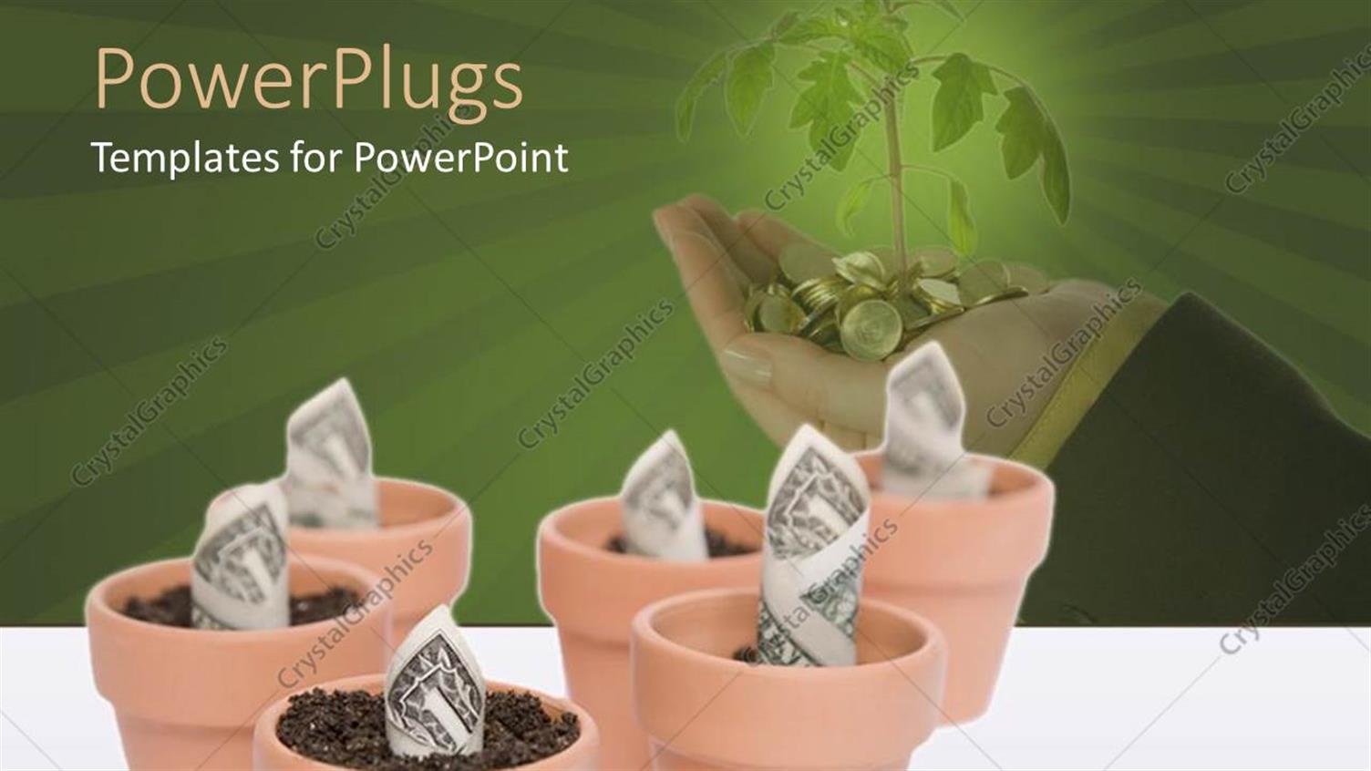 Premium Template for PowerPoint & Google Slides 