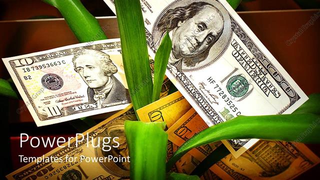  Presentation with bills - Dollar bills in the midst of long green plant shoots