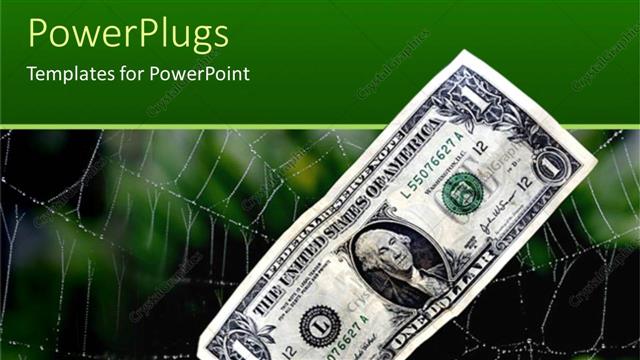  Presentation with web - A dollar note with web in the background