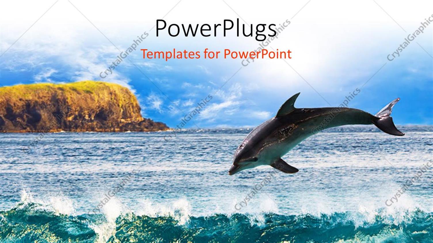 Premium Template for PowerPoint & Google Slides 
