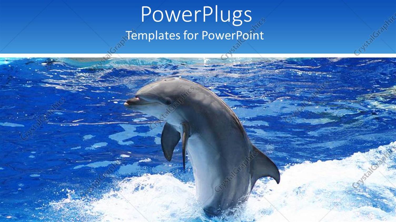 Premium Template for PowerPoint & Google Slides 