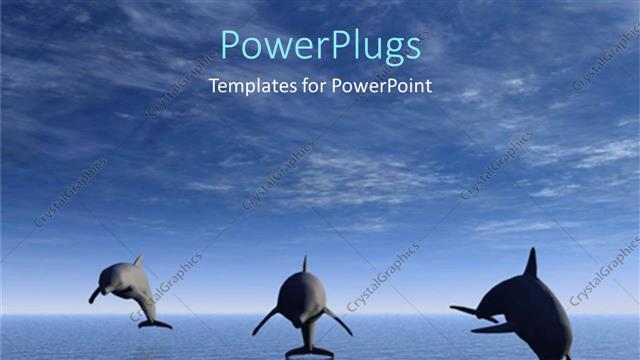  Presentation with skies - Dolphins swimming ocean jumping dolphins blue skies