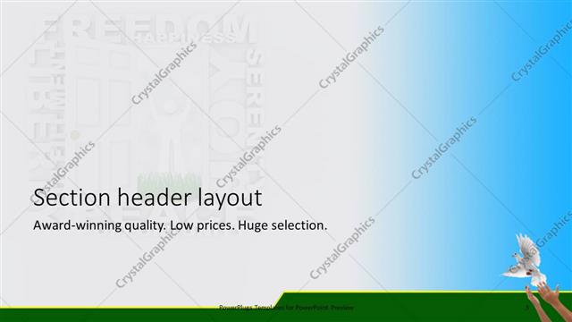 Section Header presentation slide layout