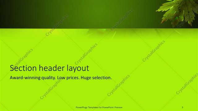 Section Header presentation slide layout