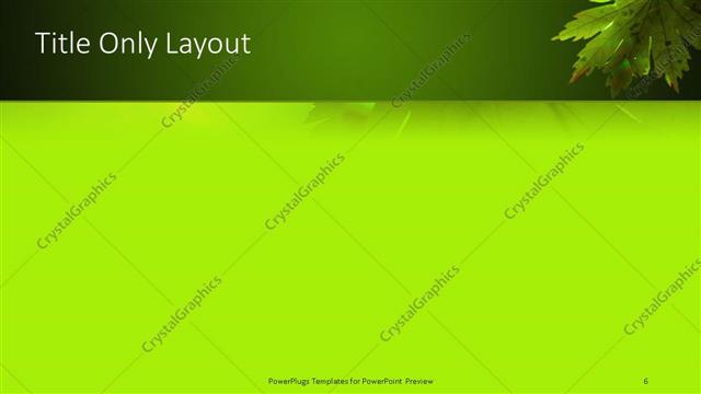 Title Only presentation slide layout