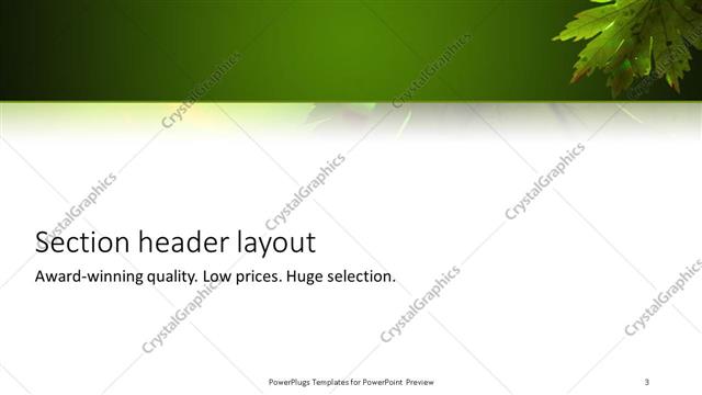 Section Header presentation slide layout
