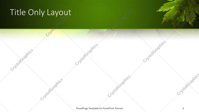 Title Only presentation slide layout