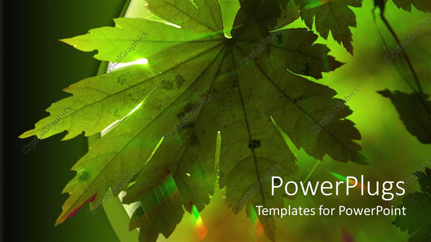 Premium Template for PowerPoint & Google Slides 