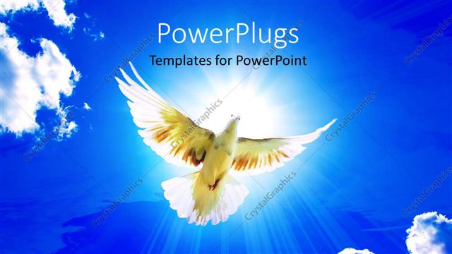  Presentation with wide - Dove in the air with wings wide open with beautiful glowing sky