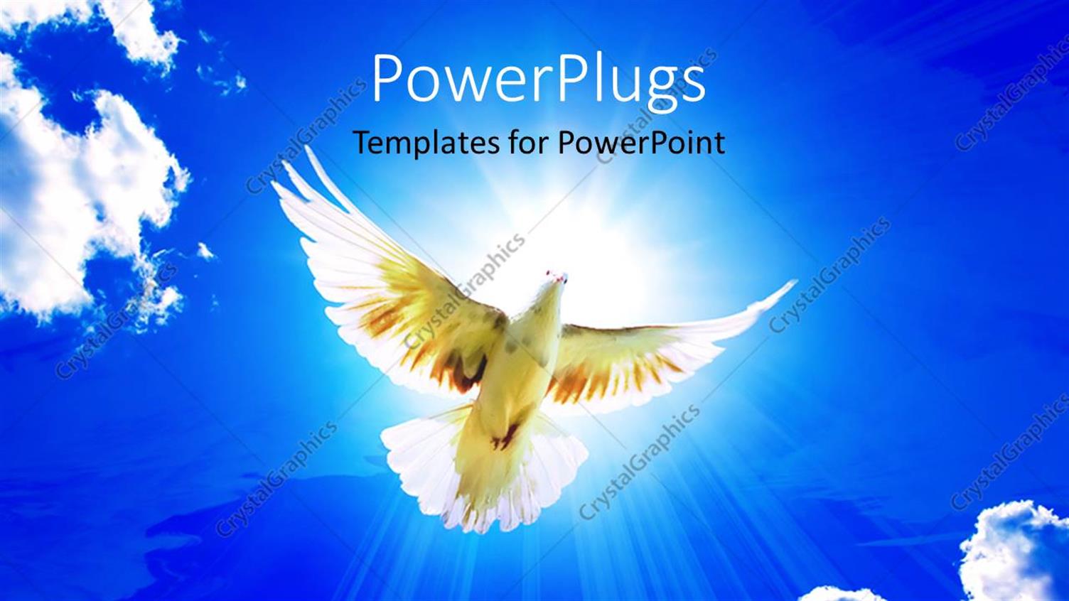 Premium Template for PowerPoint & Google Slides 