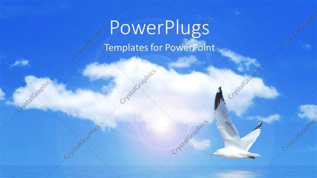  Presentation with flying - A dove flying over a blue sky and clear ocean