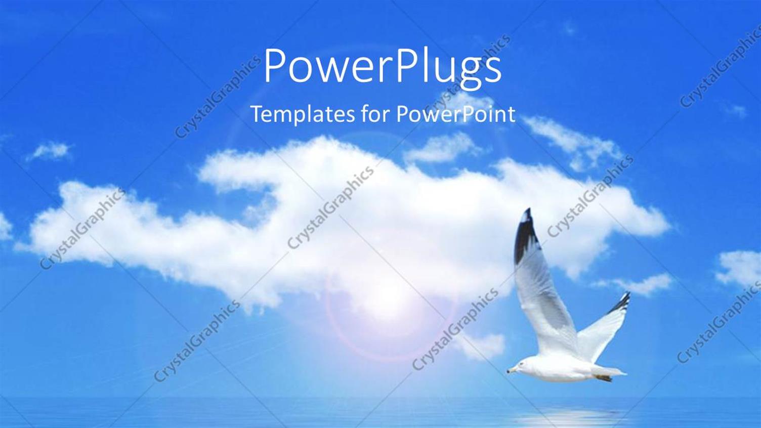Premium Template for PowerPoint & Google Slides 
