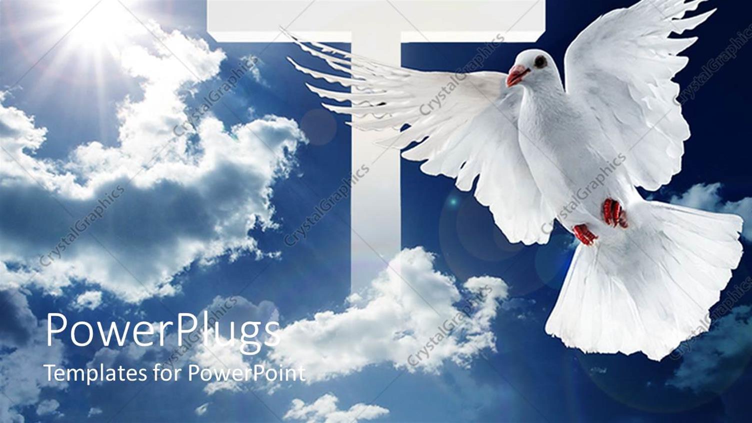 Premium Template for PowerPoint & Google Slides 