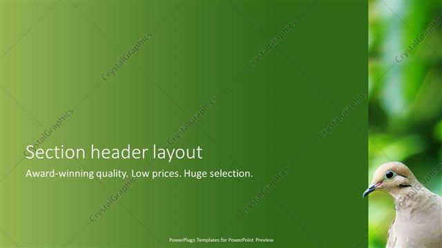 Section Header presentation slide layout