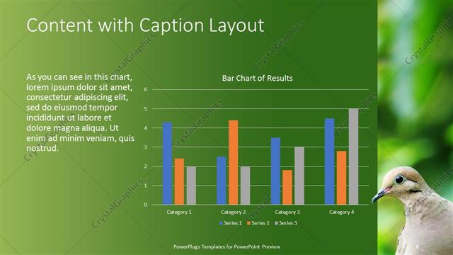 Content with Caption presentation slide layout