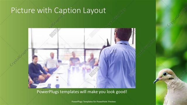 Picture with Caption presentation slide layout